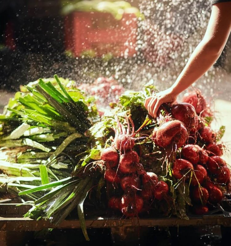 Fresh and clean is the standard of operation