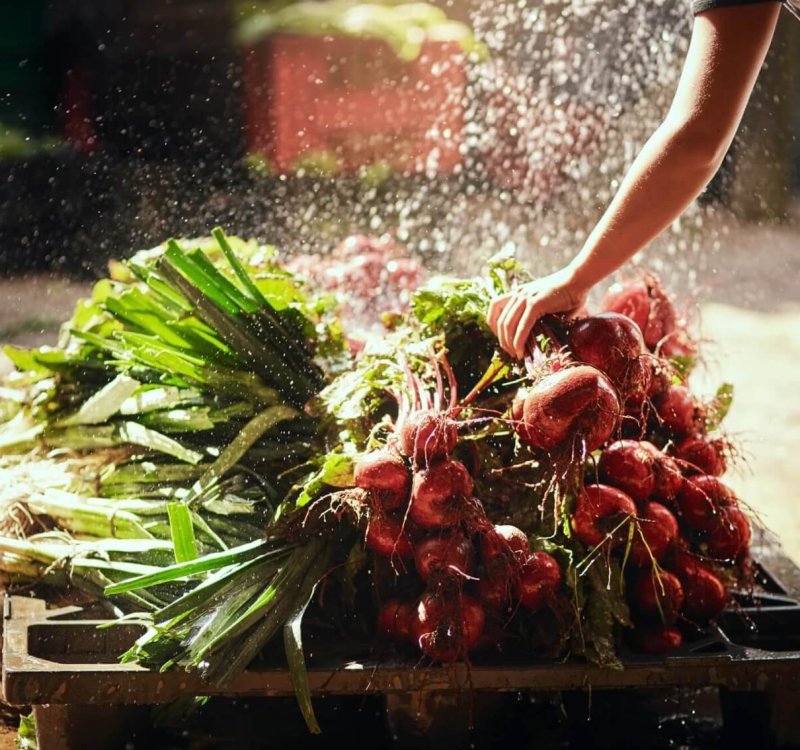 Fresh and clean is the standard of operation