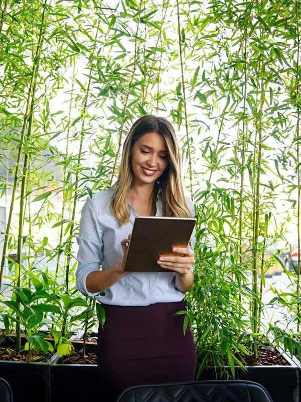 concept-of-pass-and-increase-of-renewable-energy-alternative-sources-of-energy-green-energy-(1)