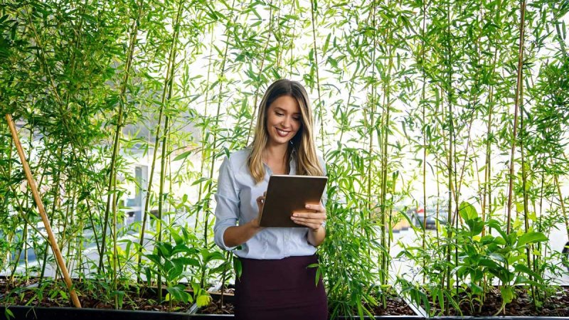 concept-of-pass-and-increase-of-renewable-energy-alternative-sources-of-energy-green-energy-(1)